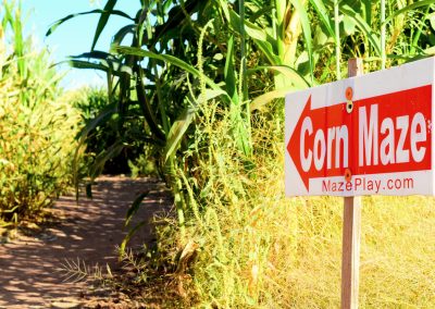 CornMaze_02