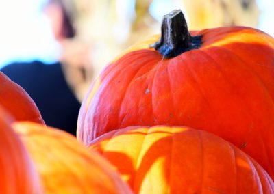 Pumpkin_01