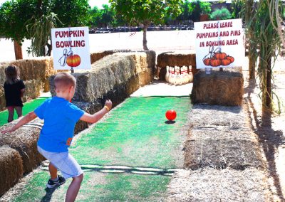 pumpkinbowling2018